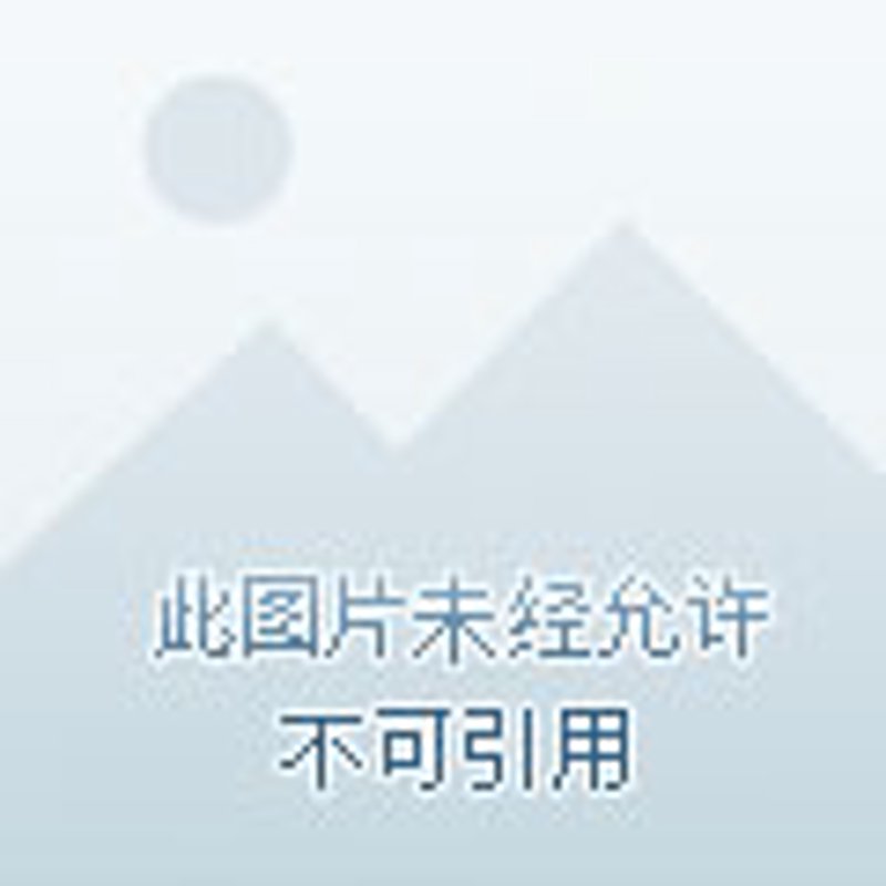 物业管理：构建和谐社区的新篇章